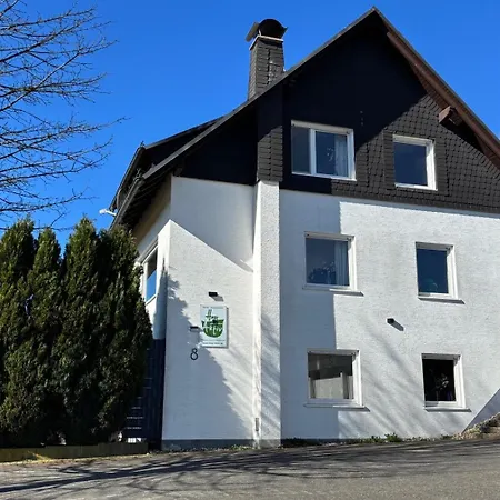 Haus Aktiv Panorama 아파트