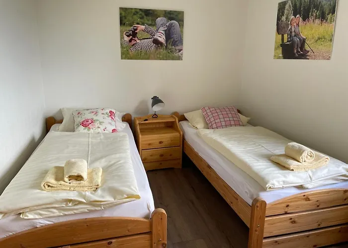 Haus Aktiv Panorama 公寓 *